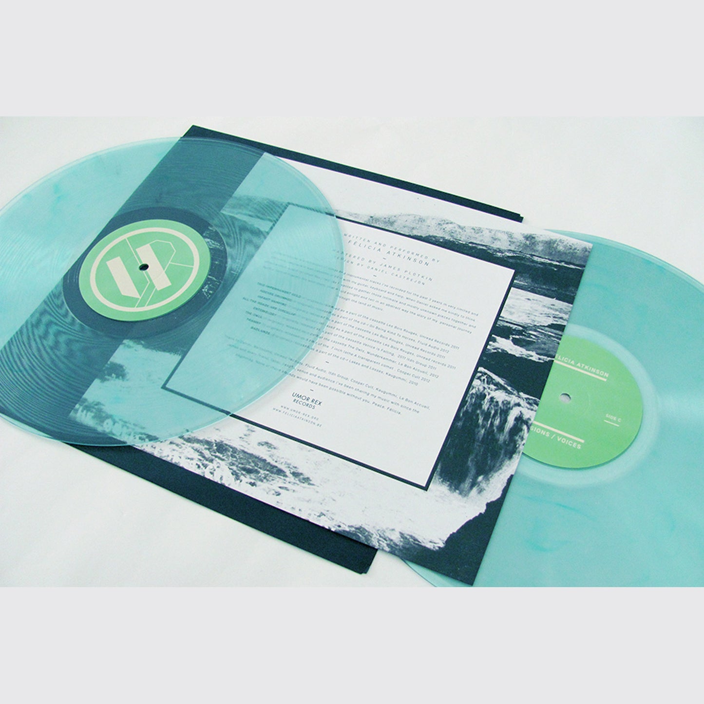 LP / FELICIA ATKINSON. Visions/Voices