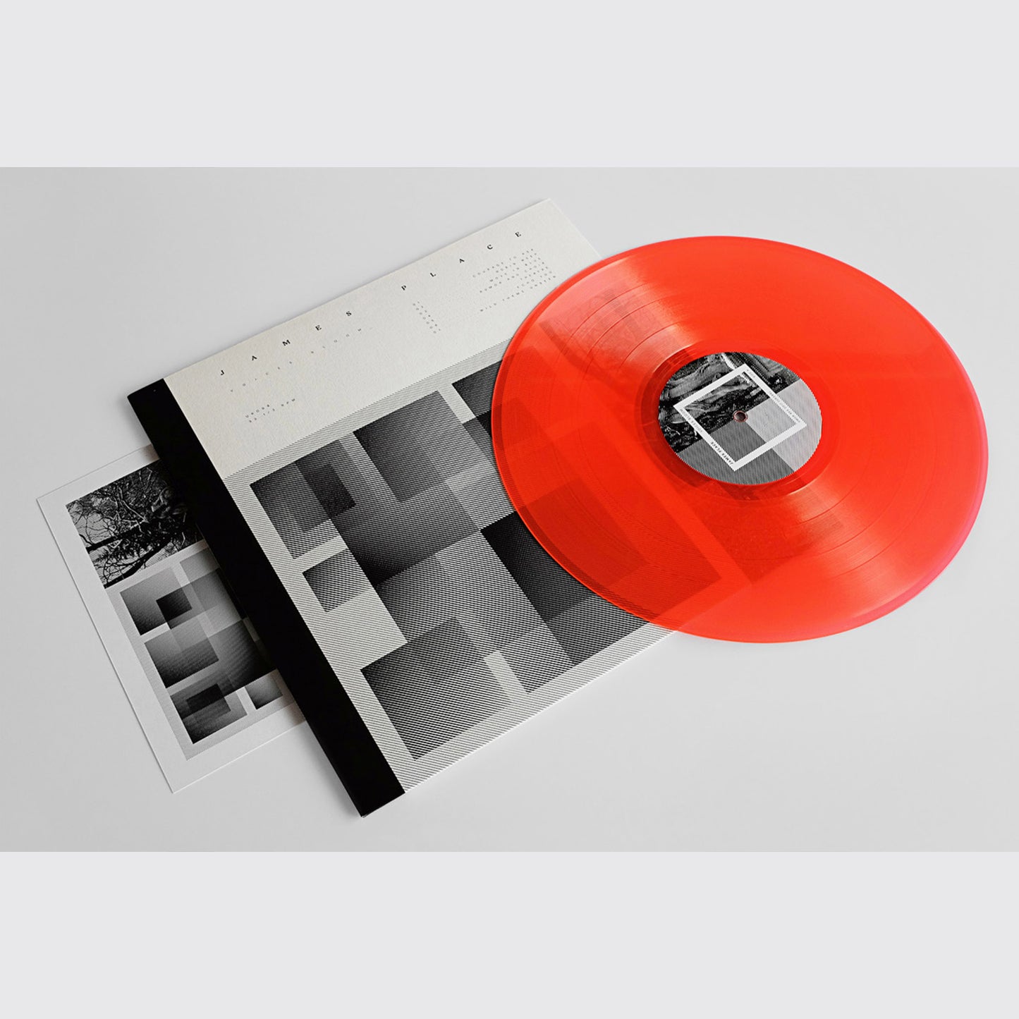 LP / JAMES PLACE — Voices Bloom