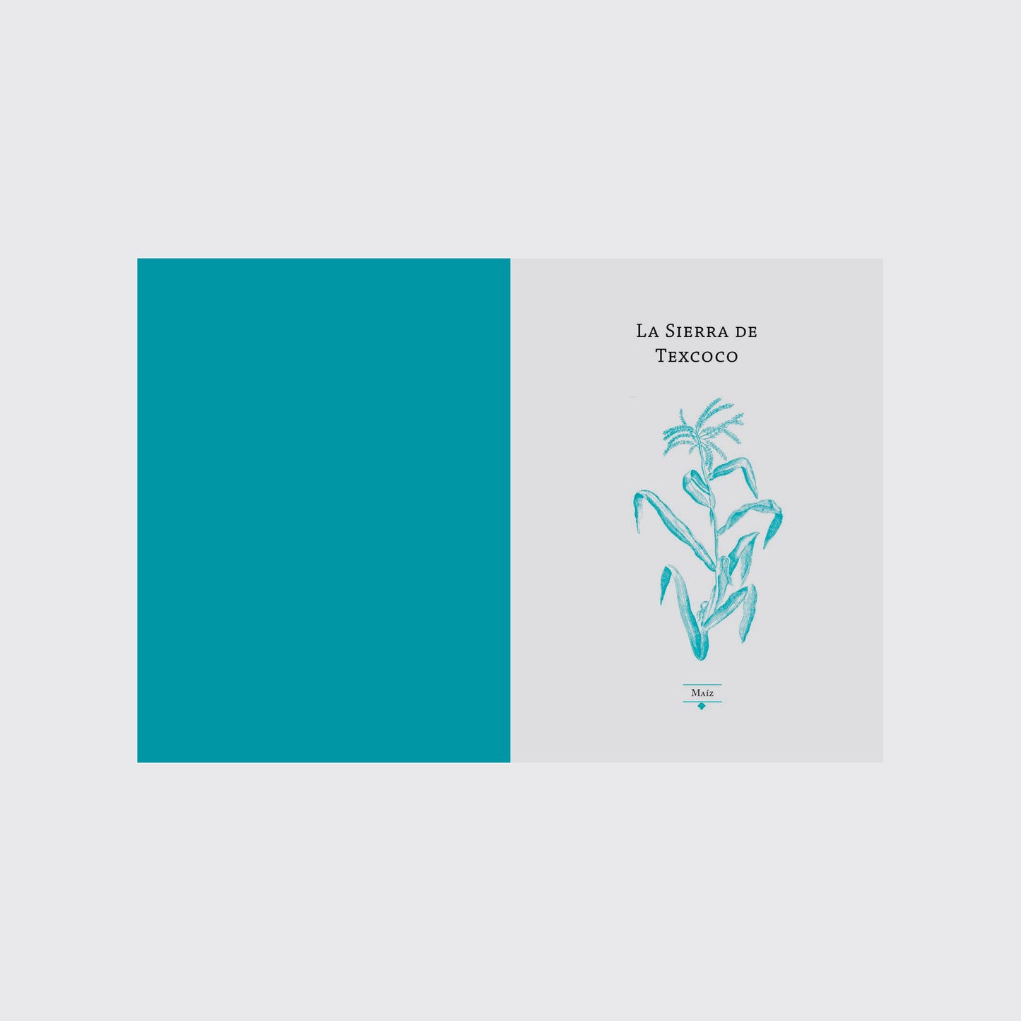 LIBRO / EL CUERPO, EL ALMA, LA PALABRA David Lorente Fernández