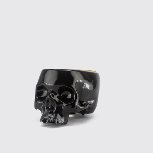 CRANEO MACETA