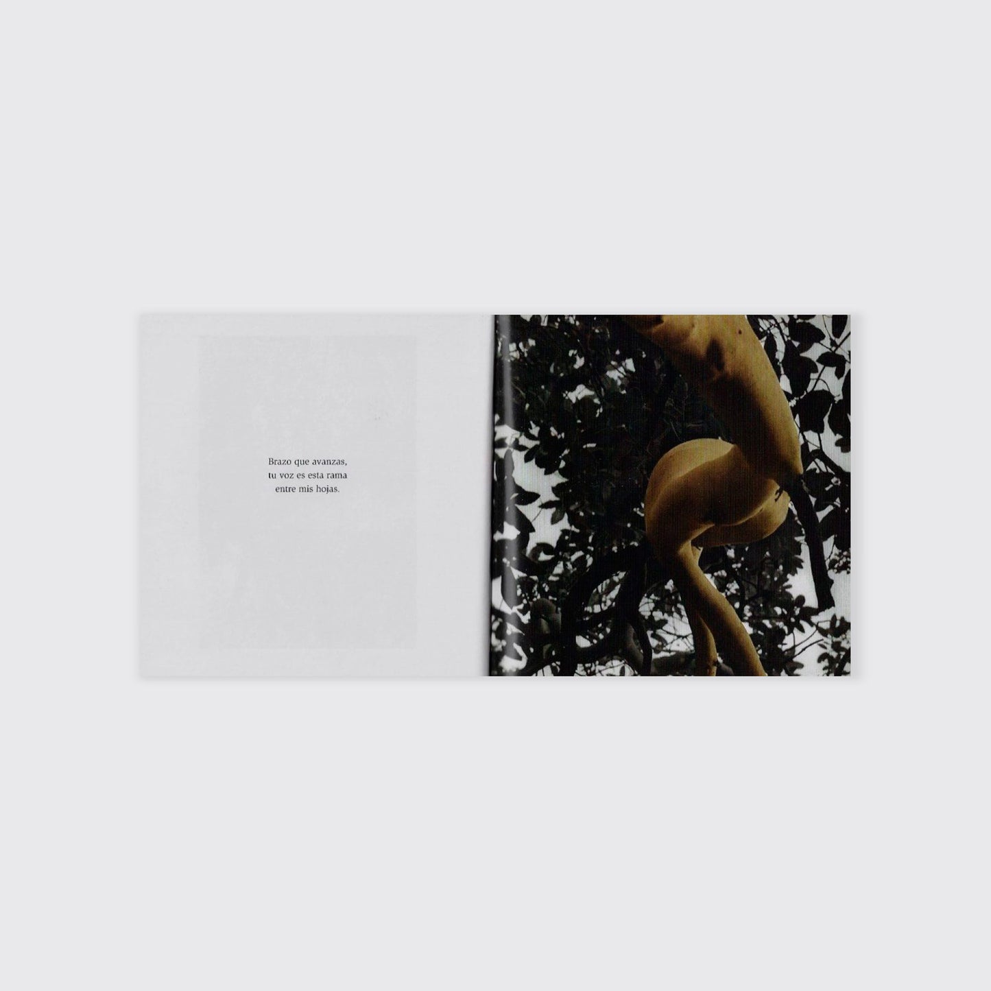 LIBRO / EL BOSQUE EROTIZADO (pasta regular) Alicia Ahumada, Alberto Ruy Sánchez