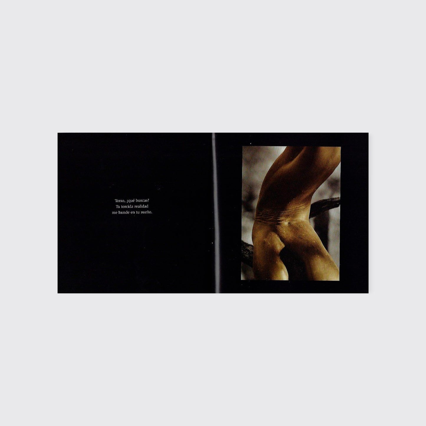 LIBRO / EL BOSQUE EROTIZADO (pasta regular) Alicia Ahumada, Alberto Ruy Sánchez