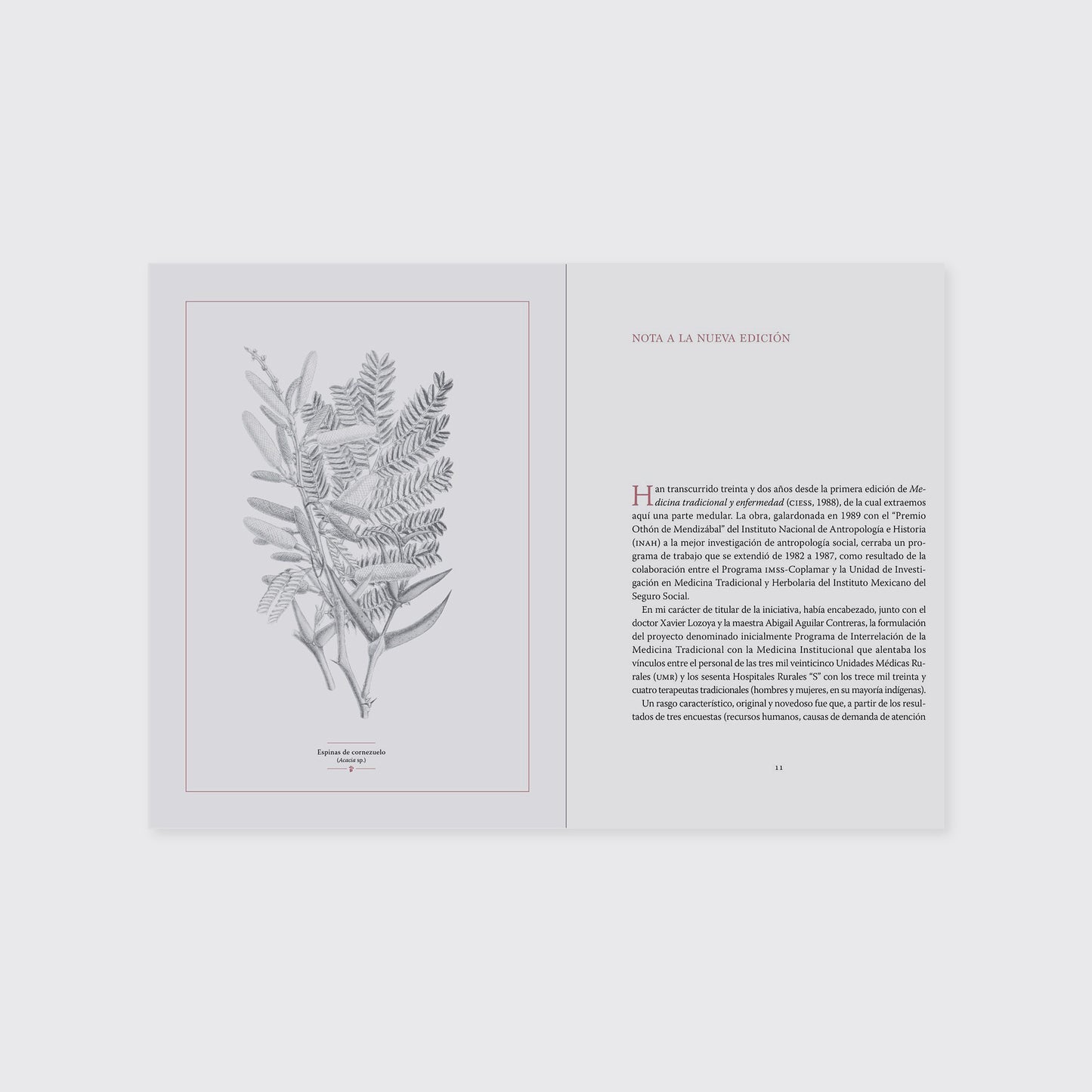 LIBRO / MAL DE OJO, EMPACHO Y OTRAS ENFERMEDADES TRADICIONALES. Carlos Zolla Luque, Sofía del Bosque, Antonio Tascón