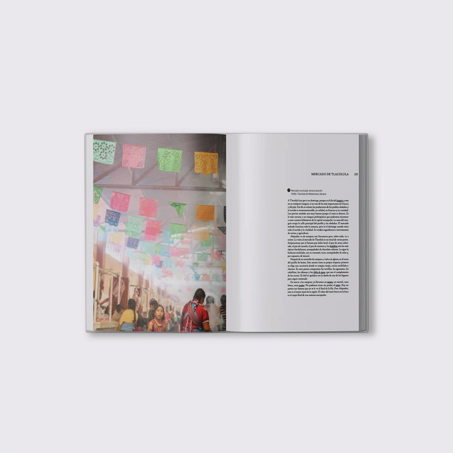 LIBRO / COCINA DE OAXACA. Alejandro Ruiz