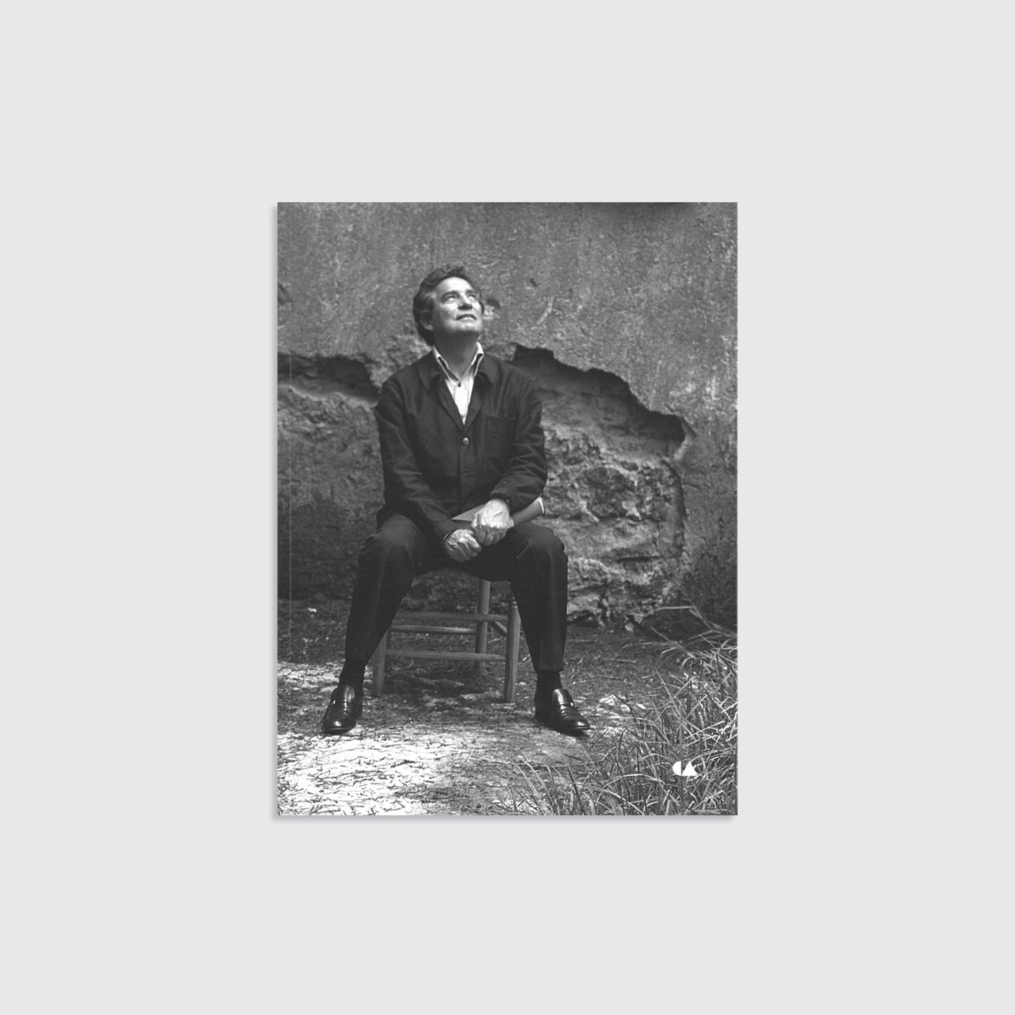 LIBRO / ENTRE LA IMAGEN Y EL NOMBRE. R. Vargas