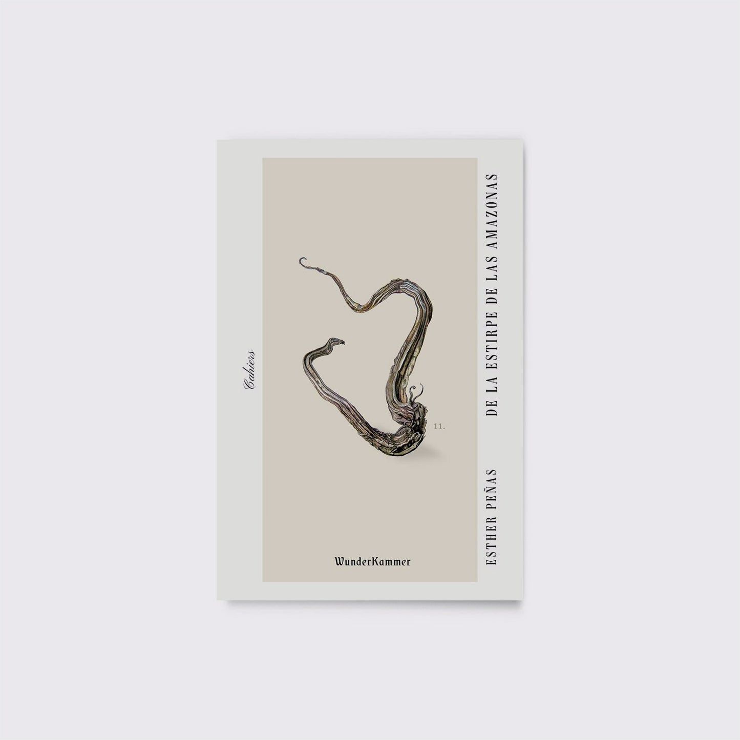 LIBRO / DE LA ESTIRPE DE LAS AMAZONAS. Esther Peñas