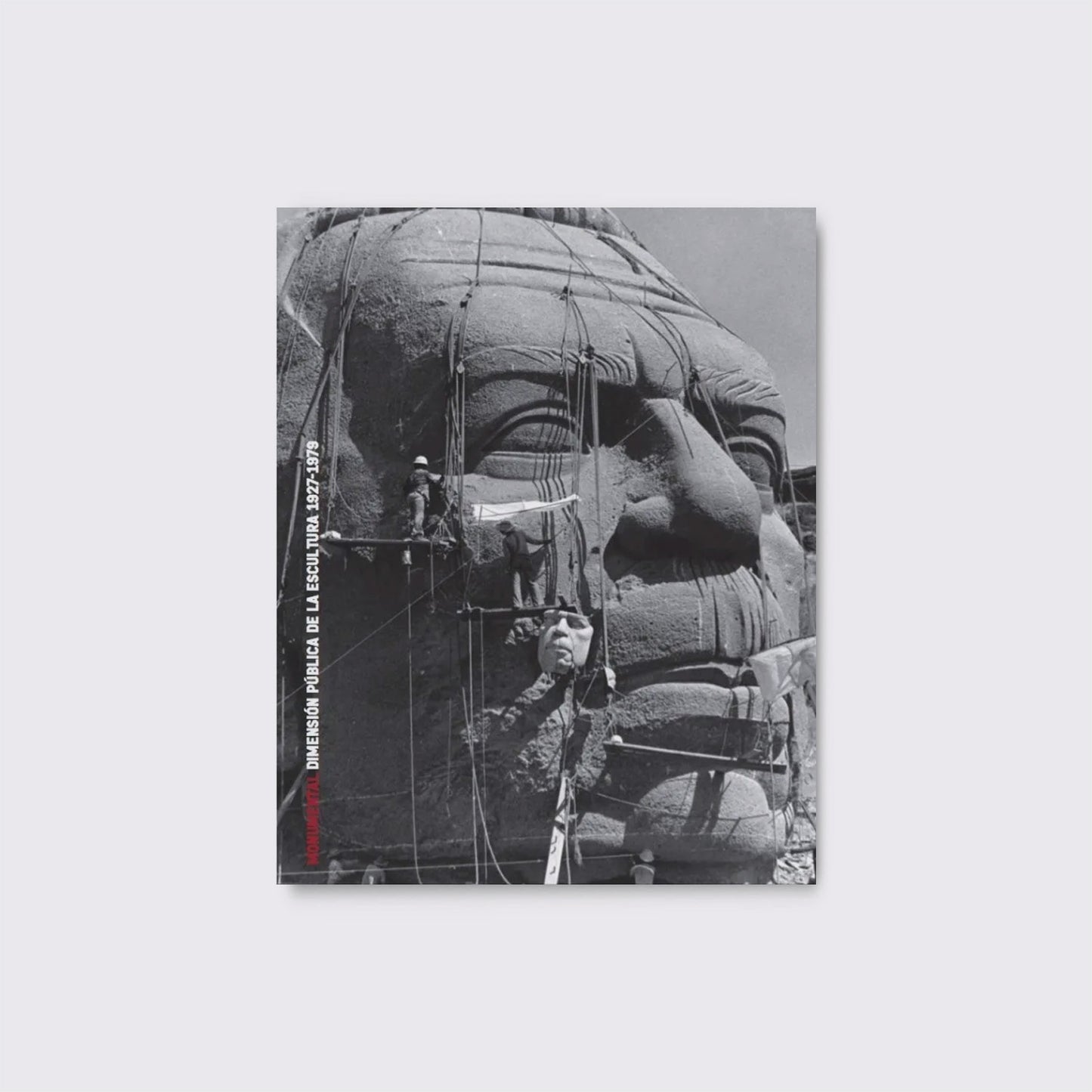 LIBRO / MONUMENTAL. Pedro Reyes