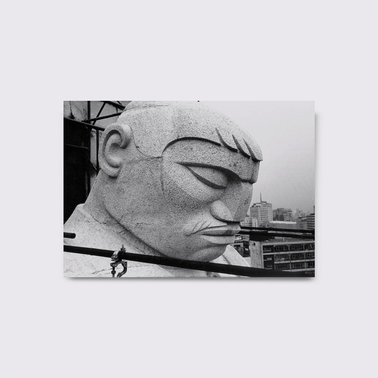 LIBRO / MONUMENTAL. Pedro Reyes