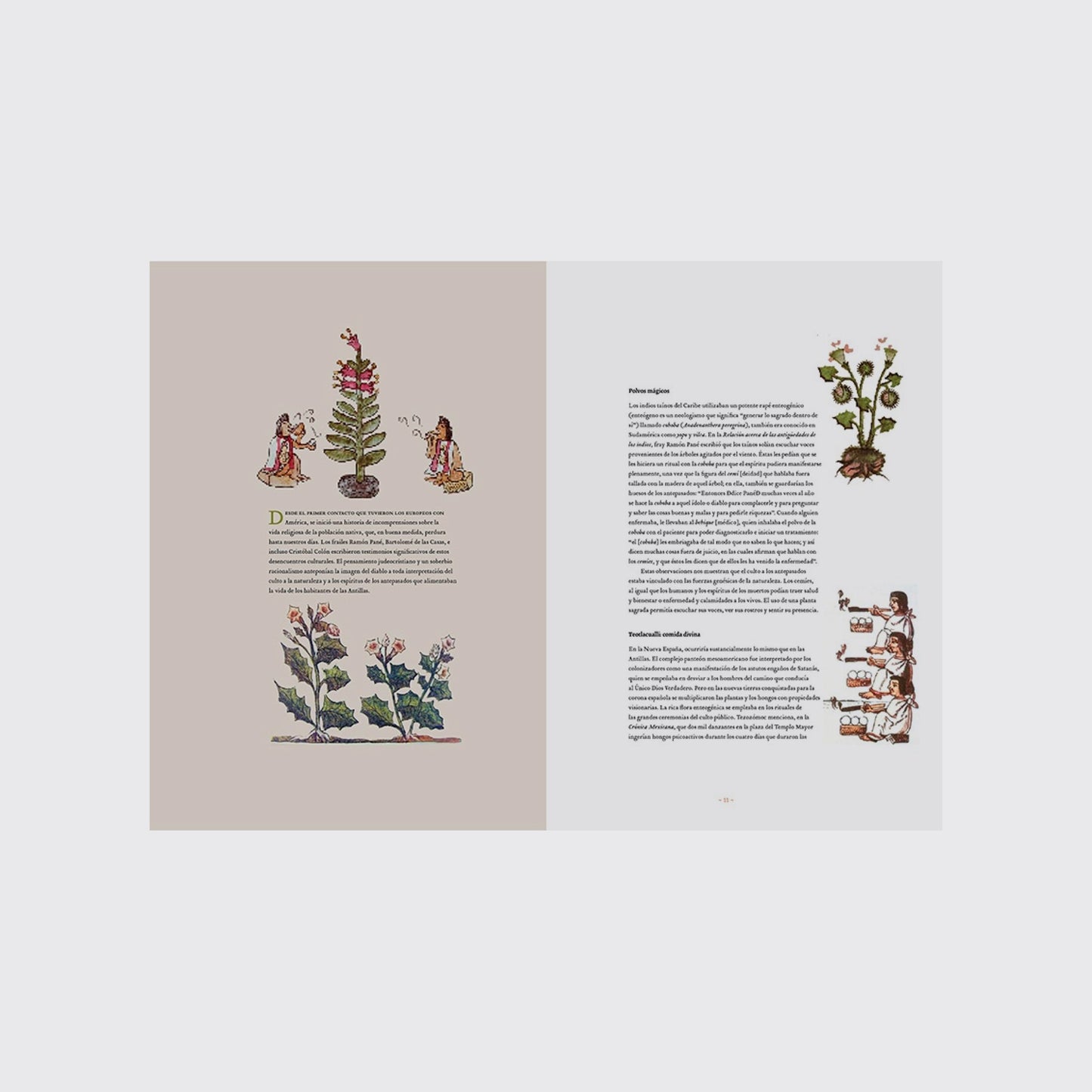 ARTES DE MÉXICO / PLANTAS SAGRADAS. NUM 127