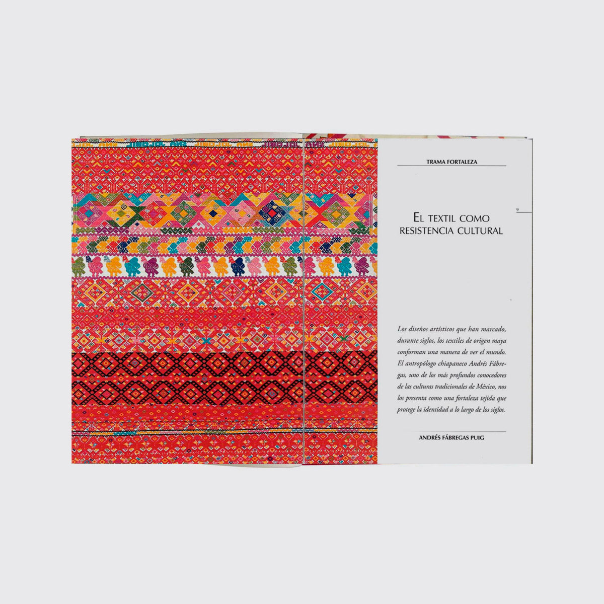 ARTES DE MÉXICO / TEXTILES DE CHIAPAS. NUM. 19