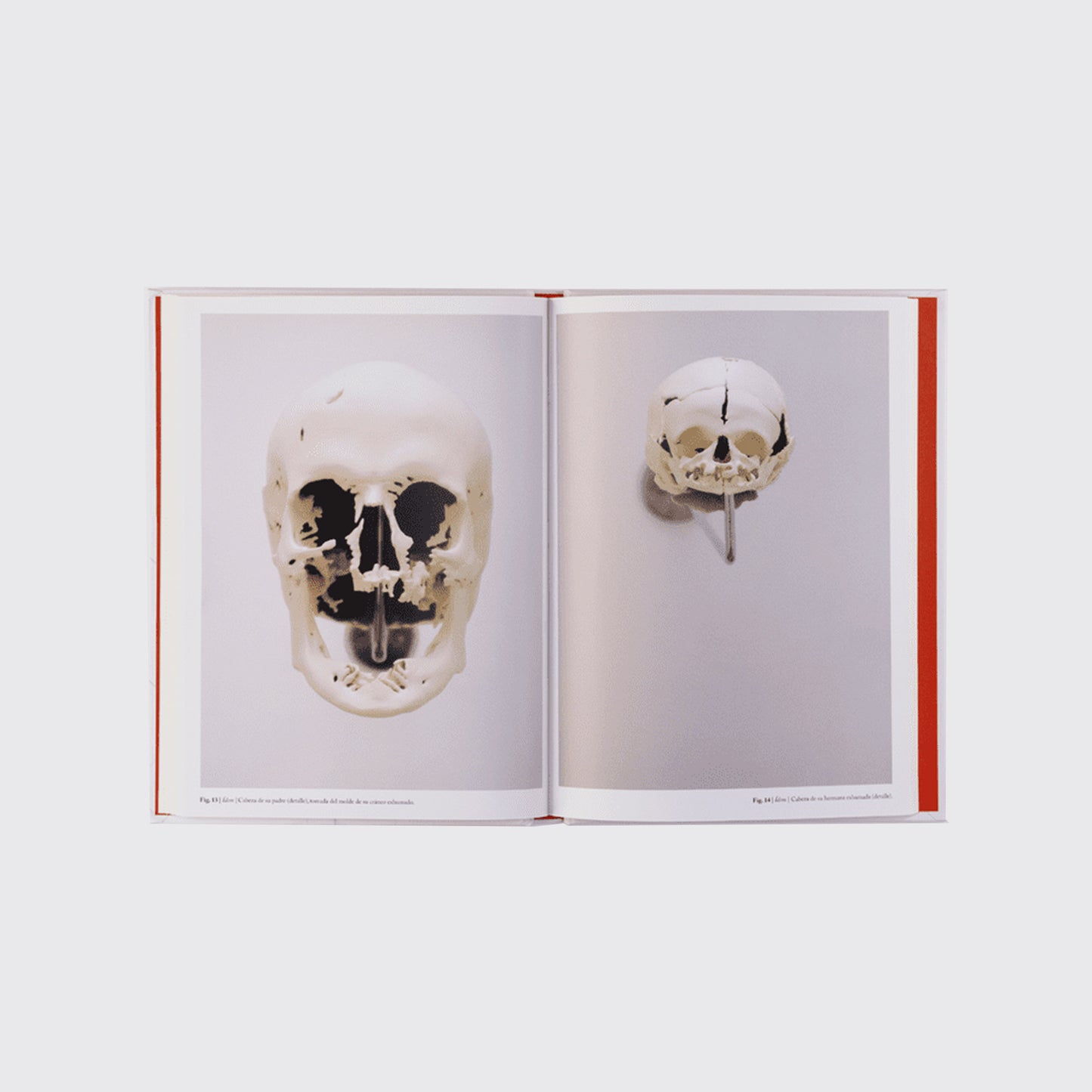 LIBRO / ALEGORÍAS CAPILARES. Sergio Rodríguez Blanco