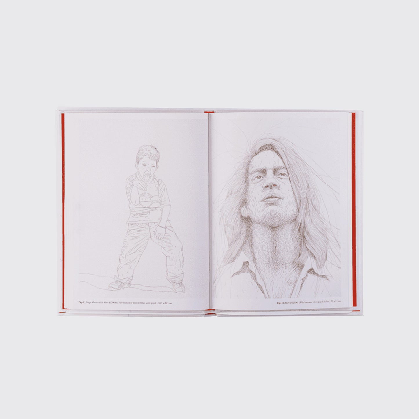 LIBRO / ALEGORÍAS CAPILARES. Sergio Rodríguez Blanco