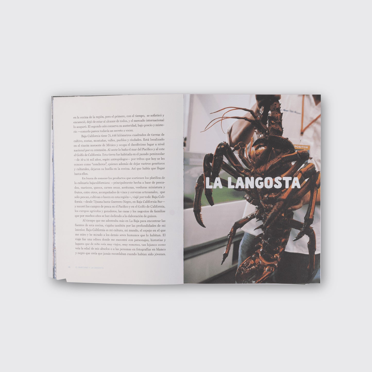 LIBRO / EL MARCIANO Y LA LANGOSTA Oscar Millán.