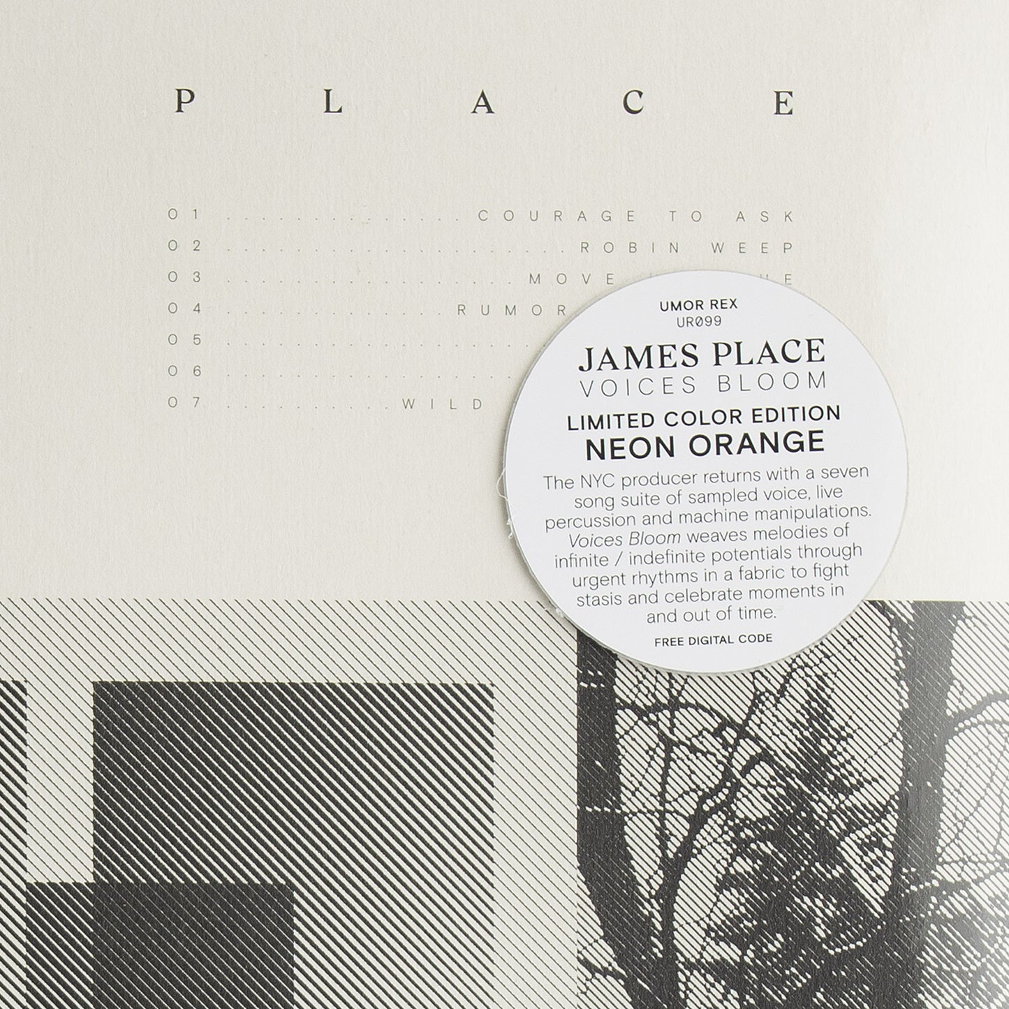 LP / JAMES PLACE — Voices Bloom