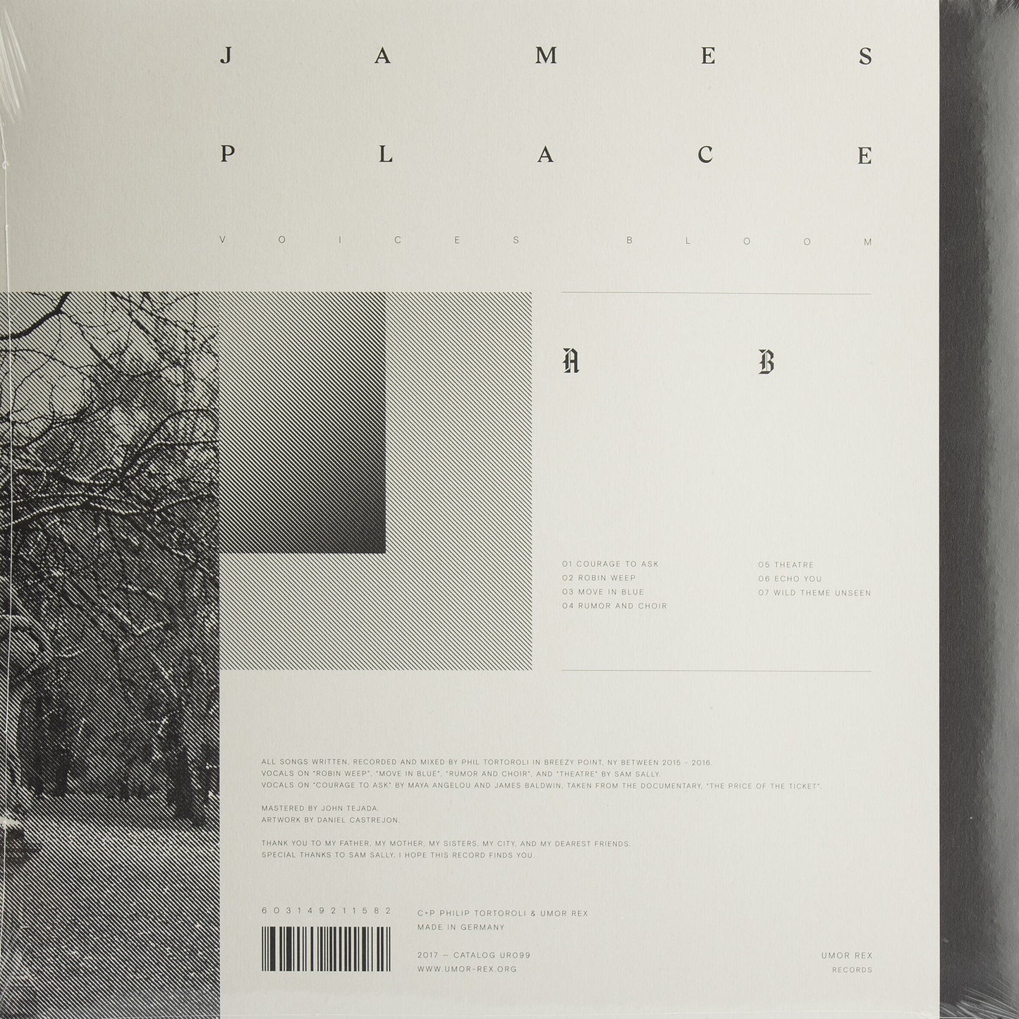 LP / JAMES PLACE — Voices Bloom