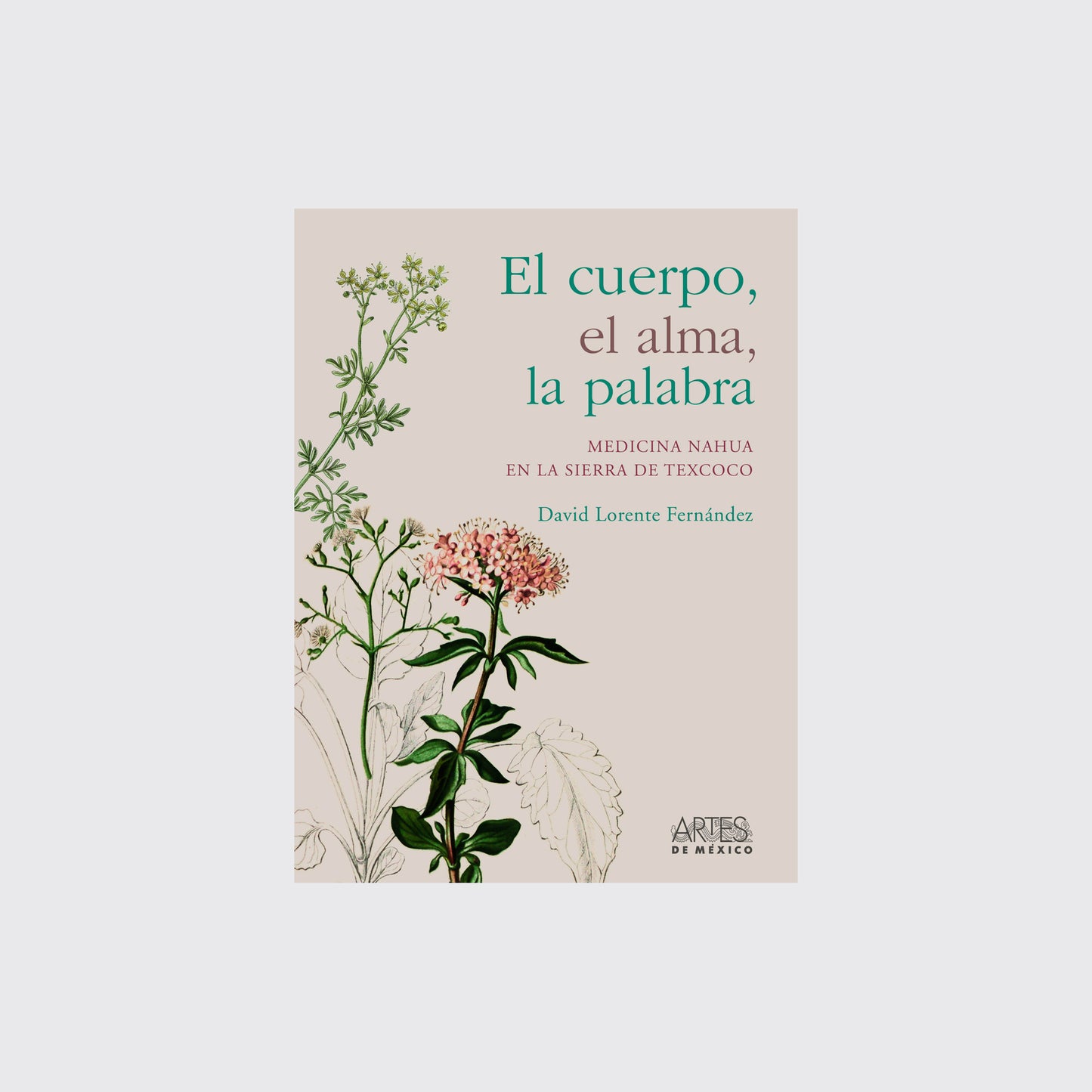 LIBRO /  EL CUERPO, EL ALMA, LA PALABRA David Lorente Fernández