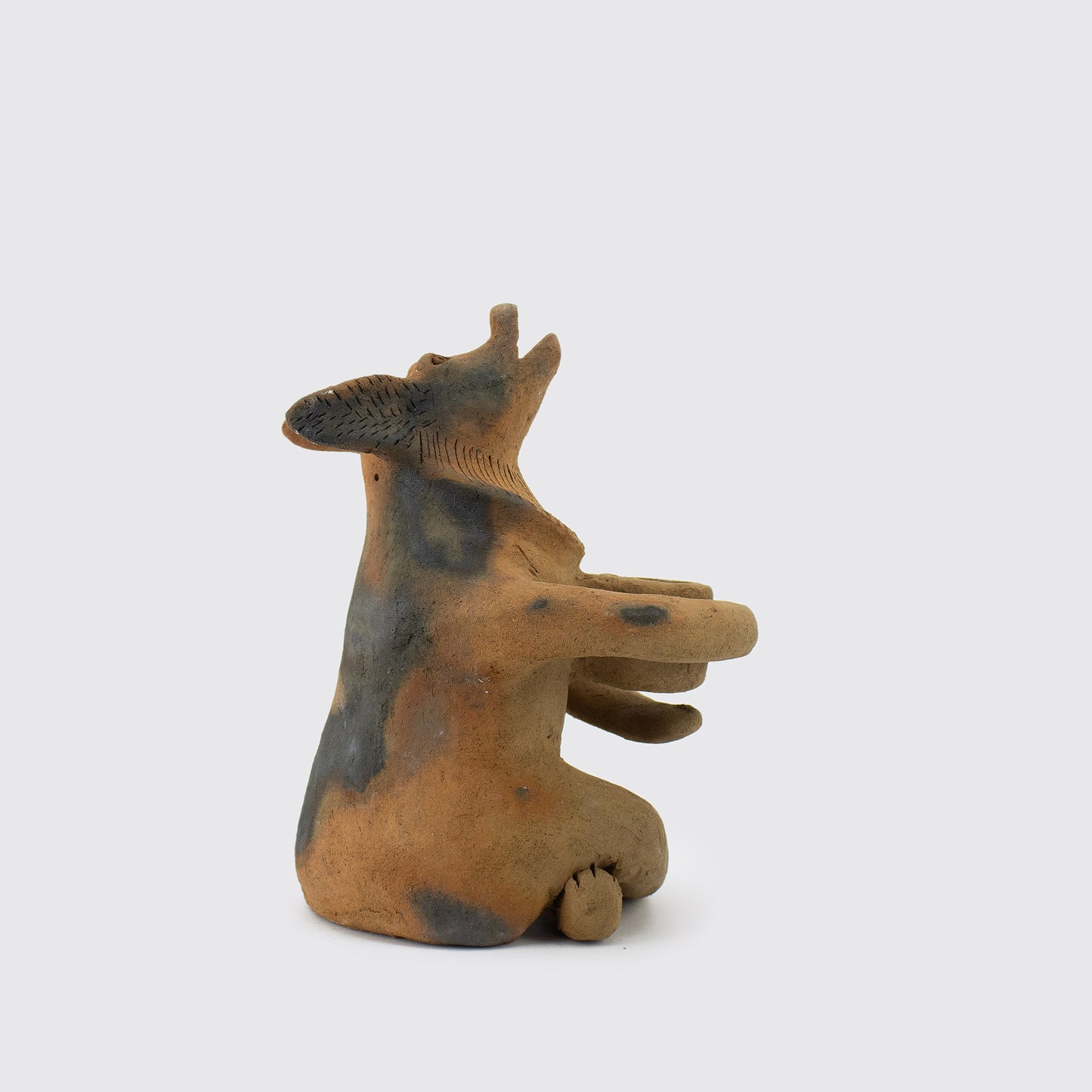 COYOTL BARRO