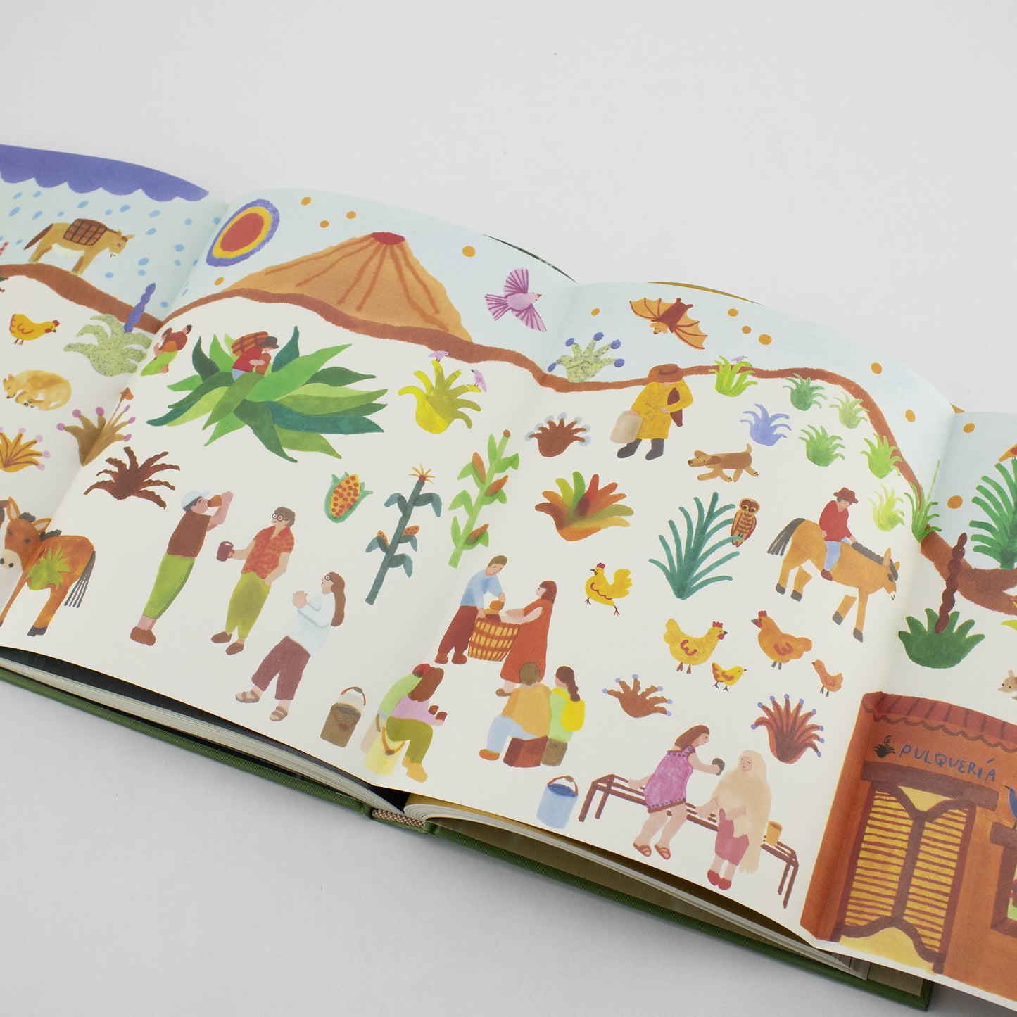 BOOK / LONG LIVE PULQUE! Juan Escalona