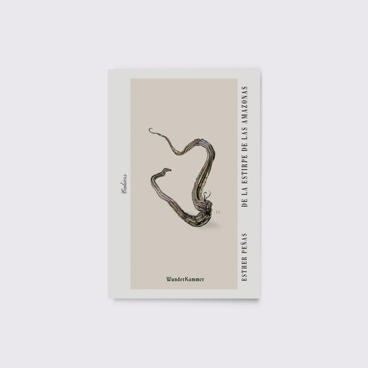 LIBRO / DE LA ESTIRPE DE LAS AMAZONAS. Esther Peñas