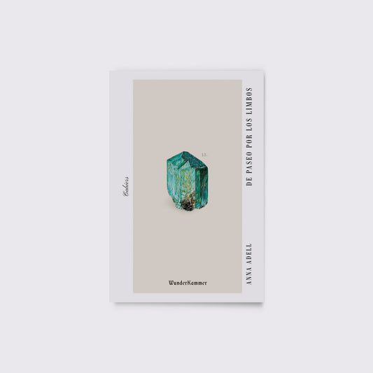 LIBRO / DE PASEO POR LOS LIMBOS. Anna Adell