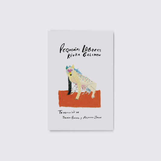 LIBRO / PEQUEÑAS LABORES. Rivka Galchen