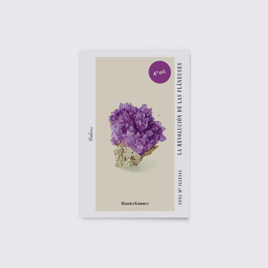 LIBRO / LA REVOLUCIÓN DE LAS FLANEUSES. Anna M Iglesia