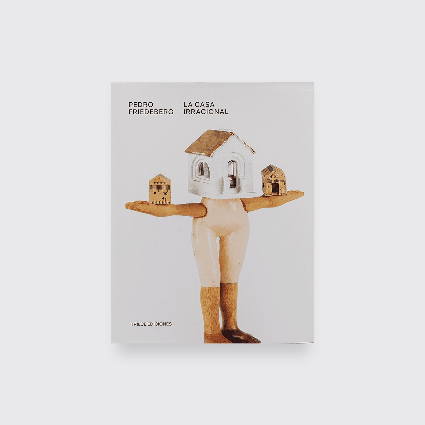 LIBRO / LA CASA IRRACIONAL Pedro Friedeberg.