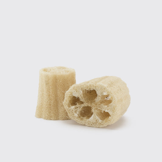 ZACATE ESTROPAJO 1/4